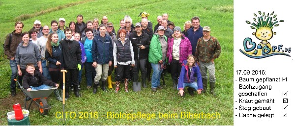 CITO 2016 - Biotoppflege beim Biberbach